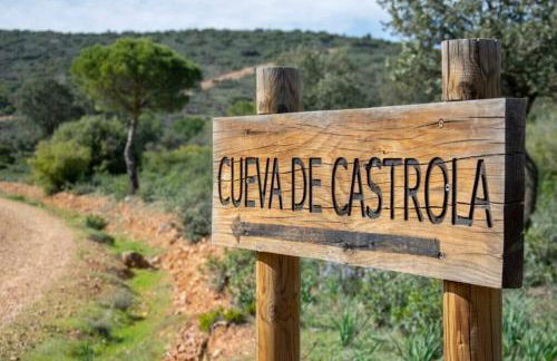 Finca El Pilar - Foto 7