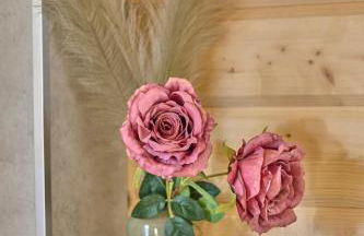 Manus Hoizhütterl - Foto 49