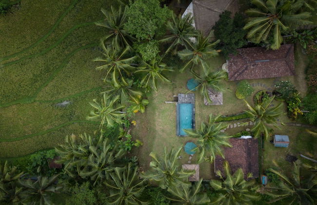 Green Sari Private Villa - Foto 43