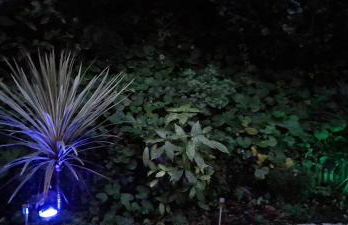 Sunny-side-up - Foto 26