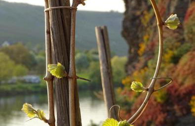 Chalet Nicole - Foto 15