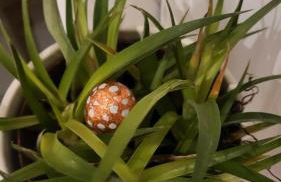 Rūm by the beach - Foto 43