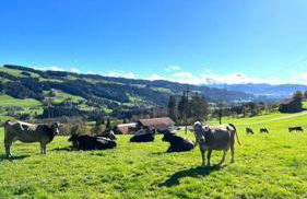 Allgäu Cottage - traumhafter Blick in die Schweizer Berge - Foto 12
