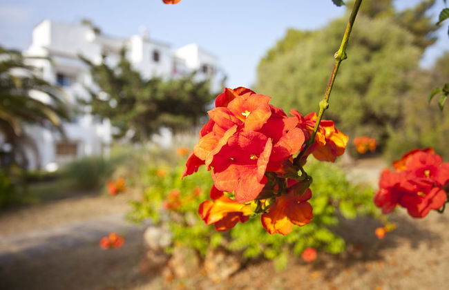 BJ Apartamentos Europa - Photo 25