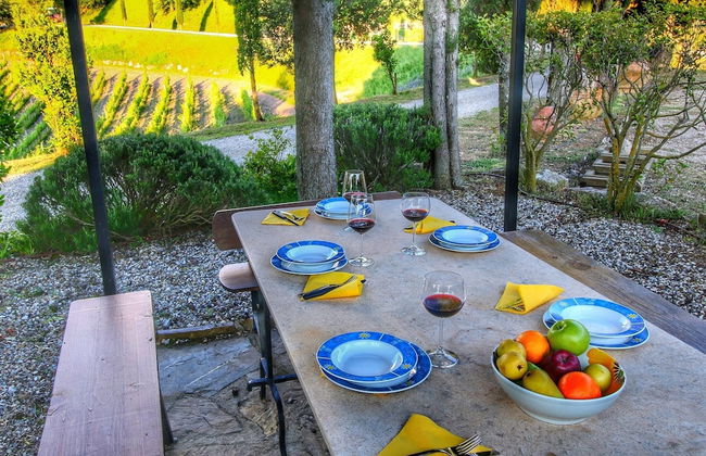 Chianti Hillside Farmhouse - Foto 28