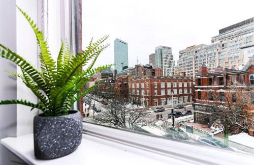 Charming Studio on Boston's Iconic Newbury St. #8 - Foto 31