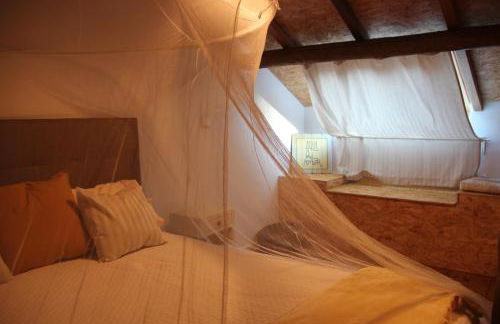 Bosque dos Amieiros - Foto 12