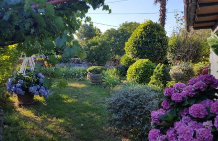 Studio Apartment Lino - Foto 12