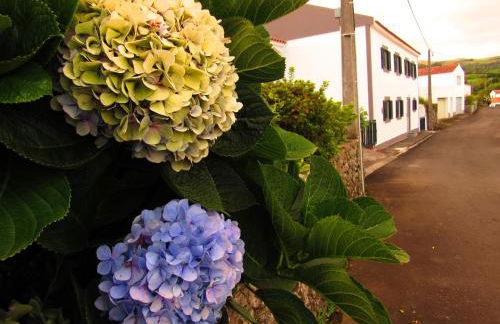 Casa L&M - Refúgio com Horta Biológica Certificada - Foto 4