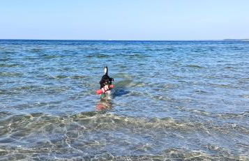 Bungalows Ostseequelle - Foto 25