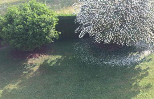 Appartementhaus Moser - Foto 11