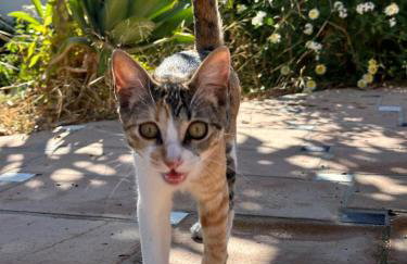 La colina buena - cosy casita for nature lovers - Foto 32