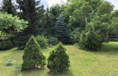 Domek całoroczny blisko lasu i morza na urokliwej działce 4300 m2 - Photo 4