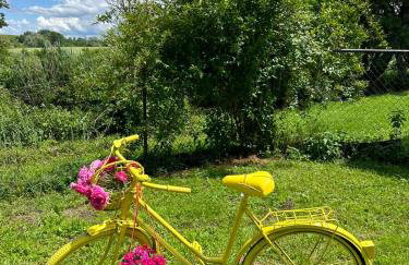 Seosko Imanje Na Obali Rijeke - Foto 22