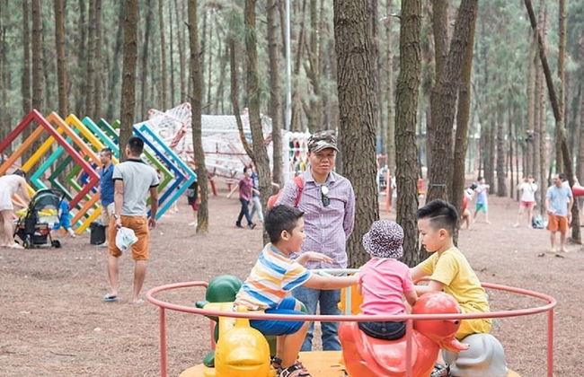 Villa Flamigo Dai Lai Chinh Chu - Photo 78