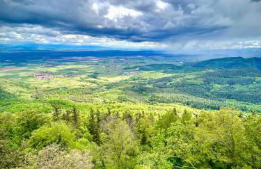 GÎTE **** L'ATELIER DU TONNELIER - Foto 30