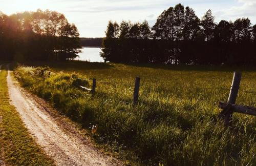 Polne domki na Mazurach - Foto 14