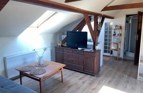 Dzika Foka Wiosłowa 49 - Photo 19