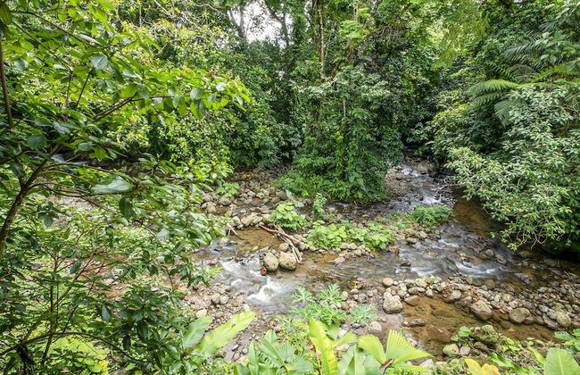 Cabañas Rio Escondido - Foto 64