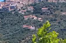 La passolara - Foto 15