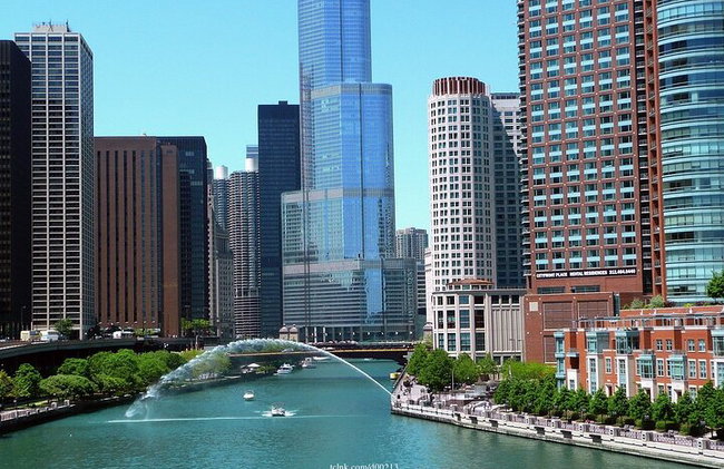 Bem-vindo a Chicago: excursão privada de meio dia com deck de observação 360 - Foto 2