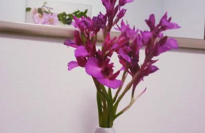 Apartamento buena vista - Foto 7