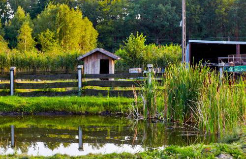 Rancho Colorado - Foto 49