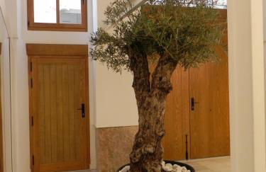 Catalina Suites Apartments Downtown Valencia - Foto 11