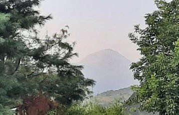 Maison familiale à Gerde - Foto 5