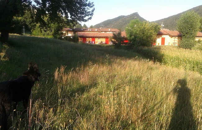 Agriturismo Terra e Lago d'Iseo - Foto 49