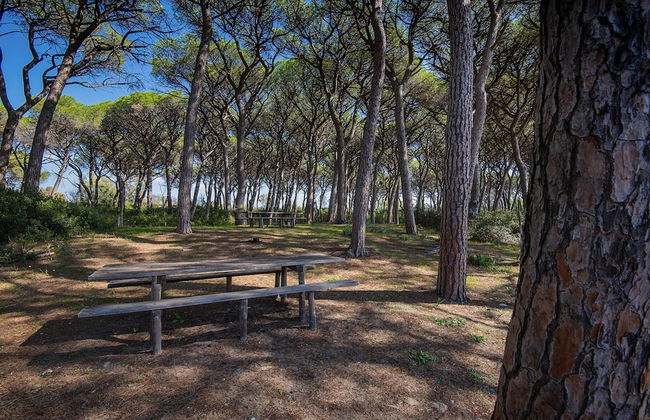 Bungalow in Riotorto Near sea Beach - Foto 22