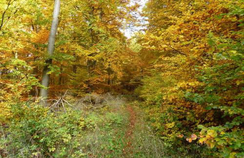 Ferienwohnungen Finke - Foto 78