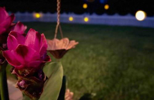 New Design-Movie Night Bar-Fire Pit-Hammocks-Games - Foto 21