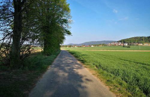 Ferienwohnung Kreuzer Lydia - Foto 23