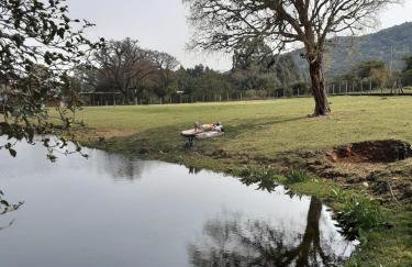 Quinta da Boa Vista São Chico - Foto 74