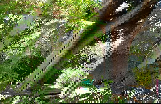 Trulli Mimosa by Pugliadamare - Foto 24