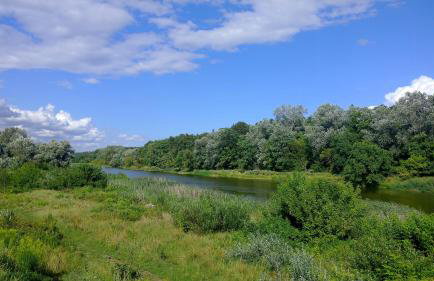 Puszczykowska willa - Foto 43