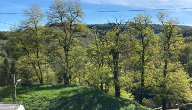 Chez Stella 1 pièce canapé lit deux personnes, Cuisine, SDB séparée - Foto 3