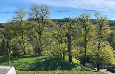 Chez Stella 1 pièce canapé lit deux personnes, Cuisine, SDB séparée - Foto 3