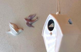 Regina del Bosco della vicina Cavalese - Foto 15