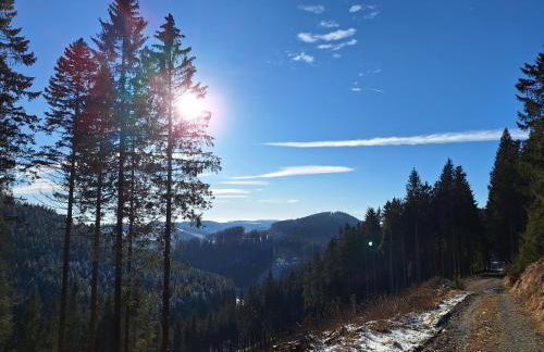 Ferienhaus 1000 Berge Winterberg Kamin & Whirlpool - Foto 39