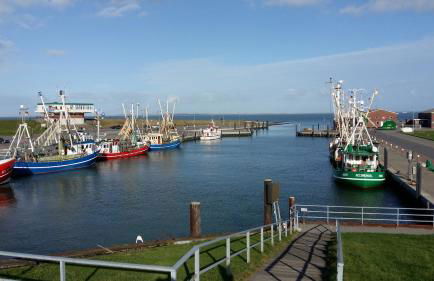 Haus Seestern - Foto 72