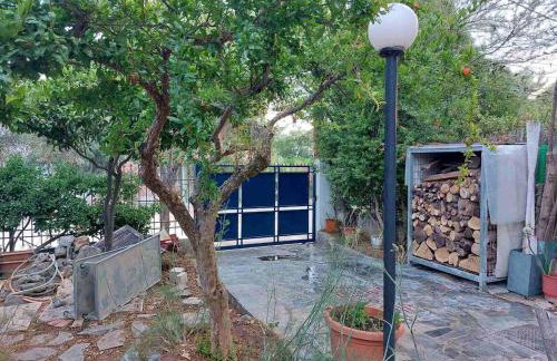 House on the beach - Photo 15