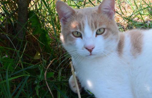 Apartmenthaus Sabine - Photo 76