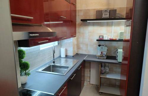 Appartamento 2 camere 1 bagno - Foto 15