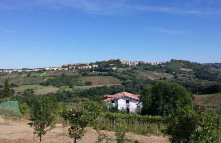Domus Quarticelli Costa dei Trabocchi - Foto 62