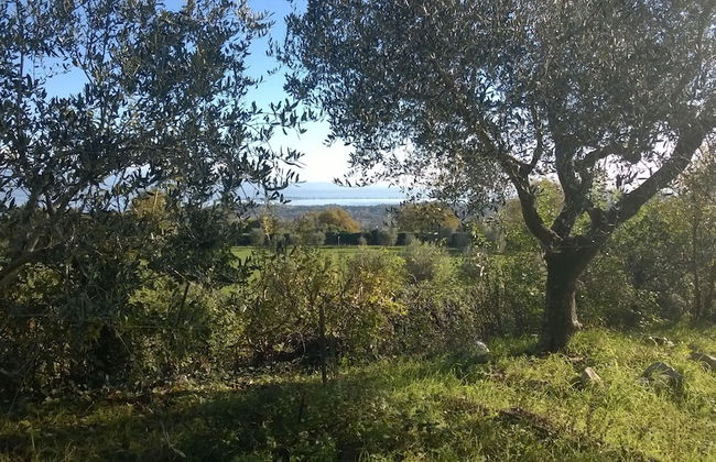 Farmhouse Paradiso - Foto 35