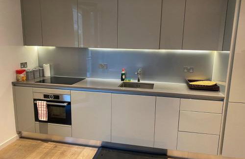 Entire Studio Apartment in Central London SE1 - Foto 15