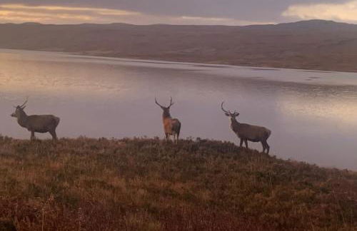 Overscaig House - Foto 52