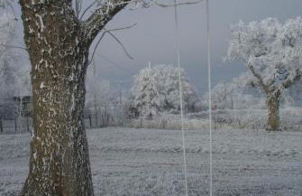 Le Logis des Chons à la campagne à Saint hilaire du Bois - Lys Haut Layon - Photo 38